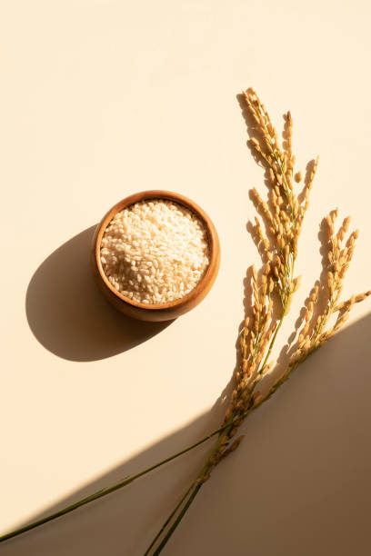 istock Rice and rice plants in bright sunlight. Top view, sunlight, natural eco composition, long shadows,  Earth tones 1682747650