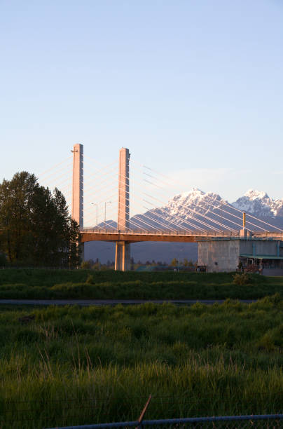 istock Golden Ears Bridge Langley In The Evening 168275453