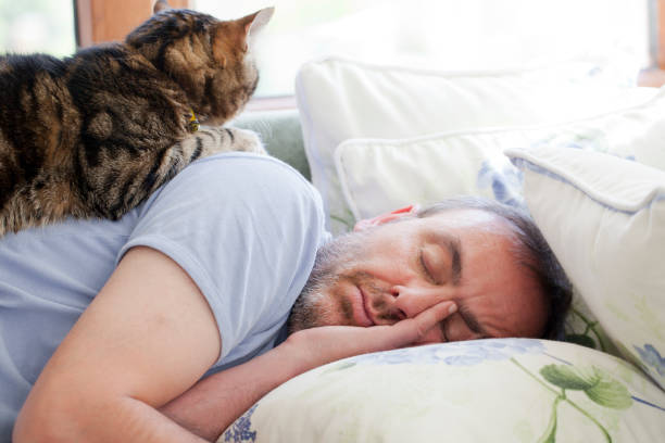 istock man and old cat: have faith in / sleeping 168275566
