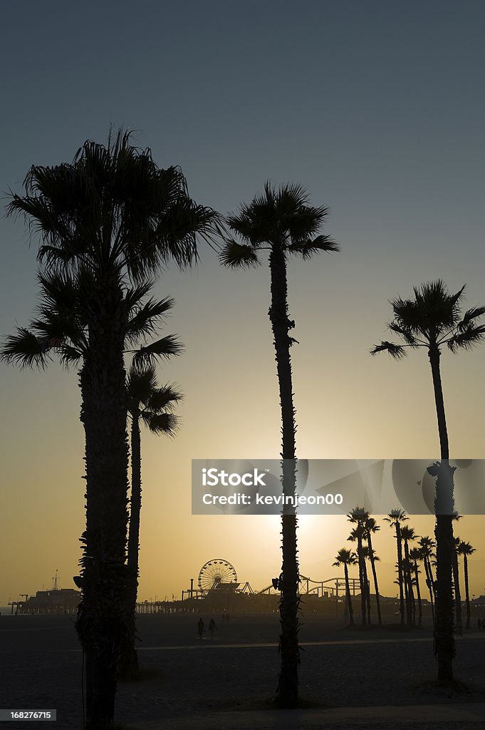Santa Monica Sunset Sunset through palm trees in Santa Monica, CA. Amusement Park Stock Photo