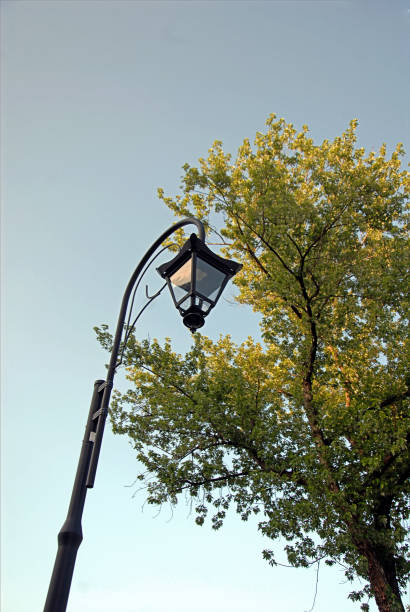 istock Retro Style Lantern in Public Park 1682771462