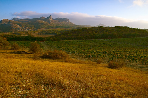 Mountain landscape of the coast of the Crimea