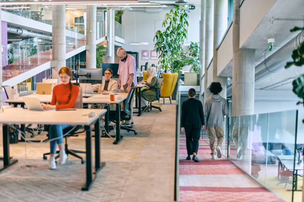 istock In a modern startup office, a diverse group of young professionals collaboratively tackles various business problems and challenges, surrounded by their engaged colleagues, fostering innovation and productivity 1682780822