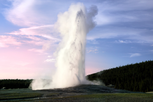 Most popular geyser in the world, the Old Faithful geyser in the Yellowstone National Park. USA.