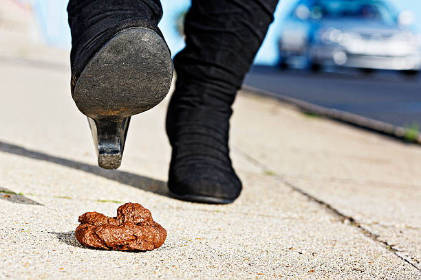 istock Woman's booted foot approaching pile of dog poo - oops 168278729