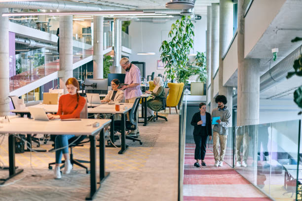 istock In a modern startup office, a diverse group of young professionals collaboratively tackles various business problems and challenges, surrounded by their engaged colleagues, fostering innovation and productivity 1682790442