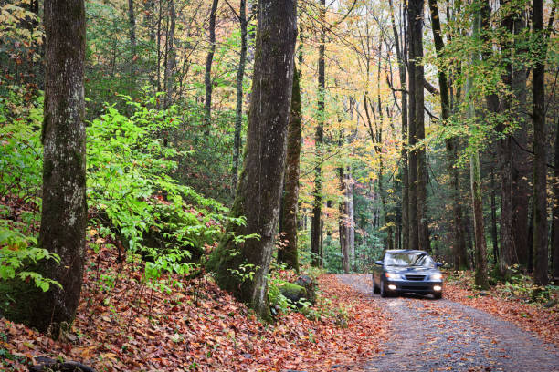 istock Smoky Mountain Autumn Roads Series 168279624
