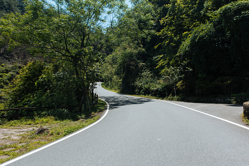 Road in the forest - background image of car advertisements