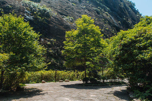 Dahongpao Tea Garden, Mount Wuyi, Nanping, Fujian