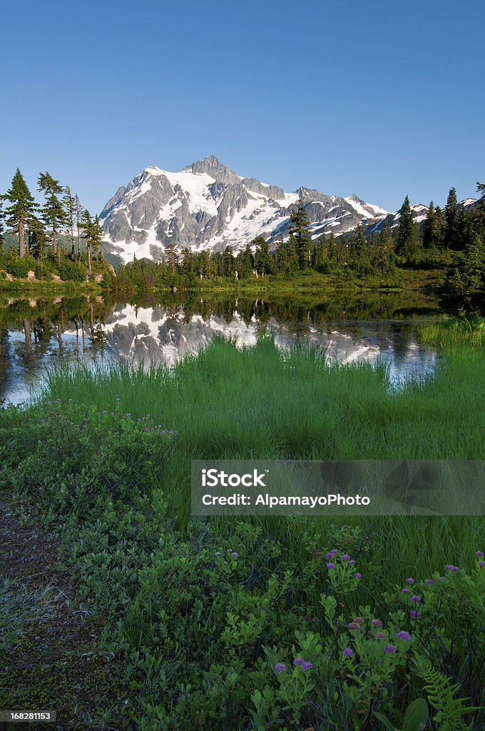 Lago Picture e Mt. Shuksan-III - Royalty-free Estado de Washington Foto de stock