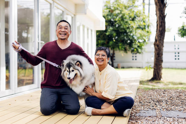 家の外で犬を撫でるアジアの幸せな老夫婦。外で家にいる�間、夏を楽しむ年金受給者の夫婦。犬と一緒の老夫婦 - senior adult dog nursing home pets ストックフォトと画像