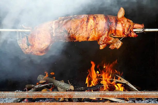 Roasting piglet on the split firewood surrounded with white smoke.