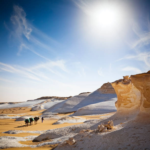 여행 다른 행성입니다 - white desert 뉴스 사진 이미지