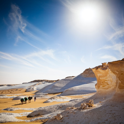 Camel Caravan in the White Desert National Park (Egypt)