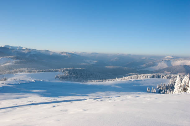 Bautiful Frosty Forest and Alps in Winter, Primorska, Julian Alps, Slovenia, Europe