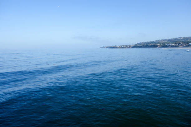 nordseite von pacific beach, san diego, kalifornien - sunbathing surf sea pacific ocean stock-fotos und bilder