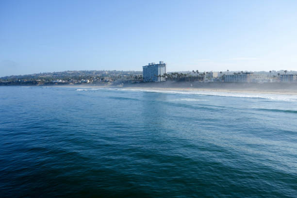 nordseite von pacific beach, san diego, kalifornien - sunbathing surf sea pacific ocean stock-fotos und bilder