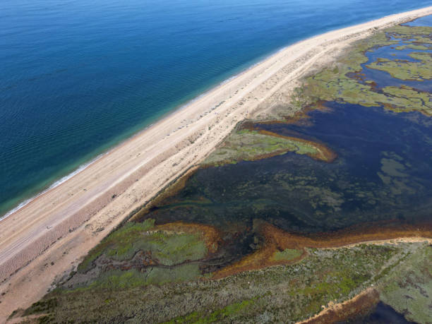 istock Shingle beach from Hurst castle and colorful salty marsh 1682852128