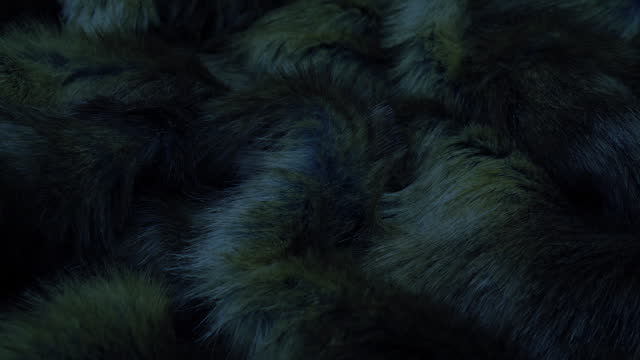 Passing Animal Fur In The Dark