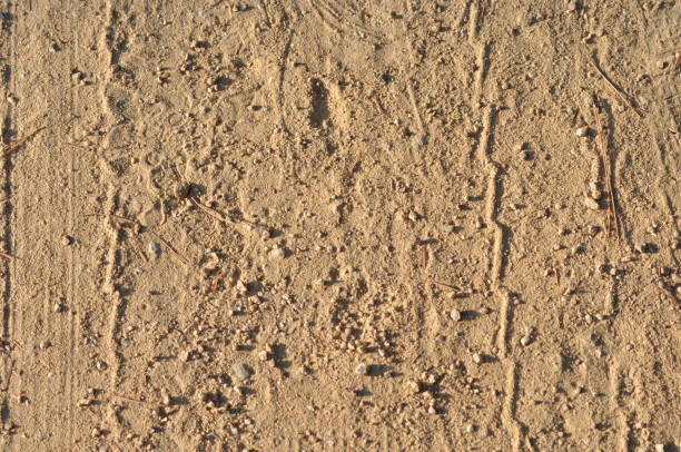 On the land road
