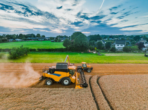 istock Drone view of Harvesting wheat harvester 1682912523