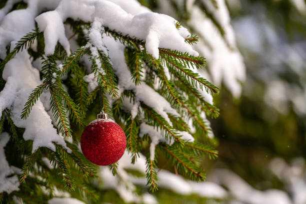 istock Christmas red bauble hanging on Christmas tree branch covered with snow.  Selective focus. 1682933303