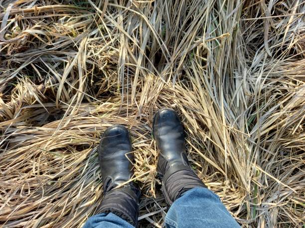 istock Black walking shoes and jeans on the dried herb 1682995111