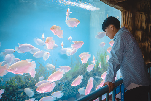 A man leans against a railing and observes fish in the aquarium - weekend activities, travel life, people and creatures