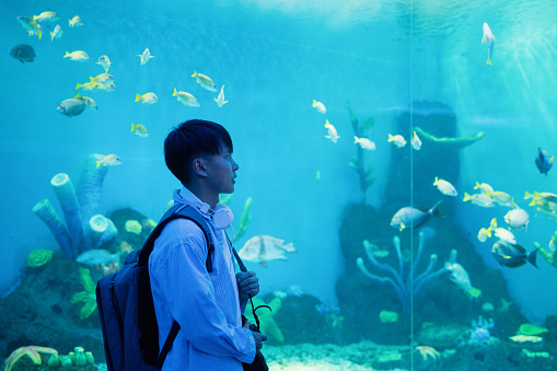A male backpacker is watching marine life in the aquarium - weekend activities, travel life, people and creatures