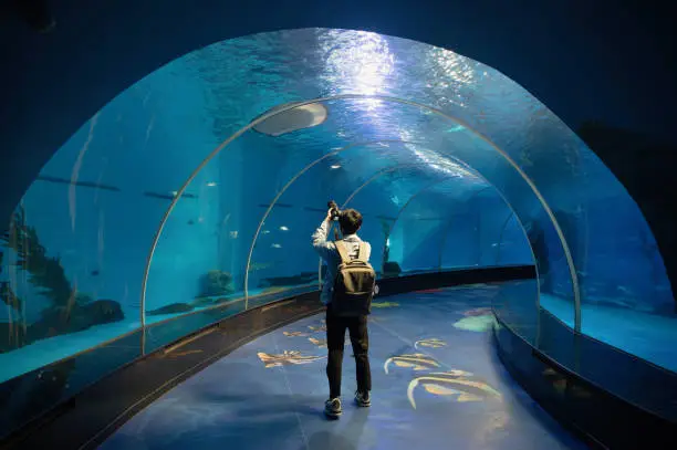 Photo of A male backpacker is holding a camera in the aquarium to capture marine life records - weekend activities, travel life, people and life