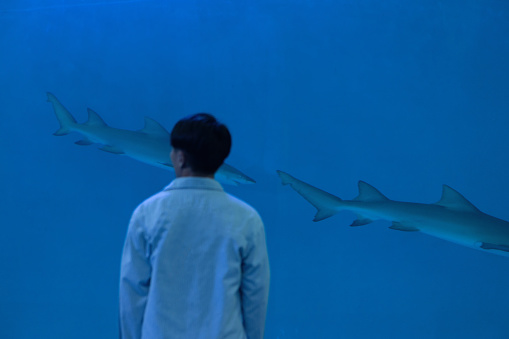 A man observes fish in the water at the aquarium - weekend activities, travel life, people and creatures