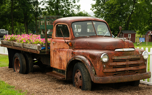 Rusted old truck full of beautiful pink flowers next to New Jersey farm highlighting beauty of countryside