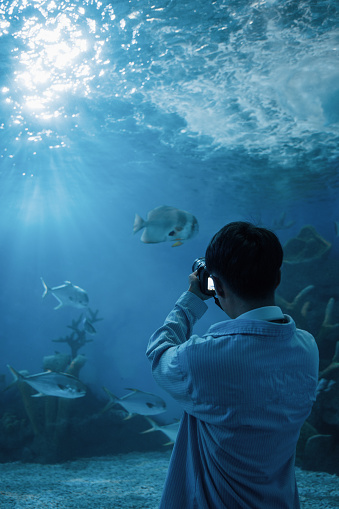 A male backpacker is holding a camera in the aquarium to capture marine life records - weekend activities, travel life, people and life