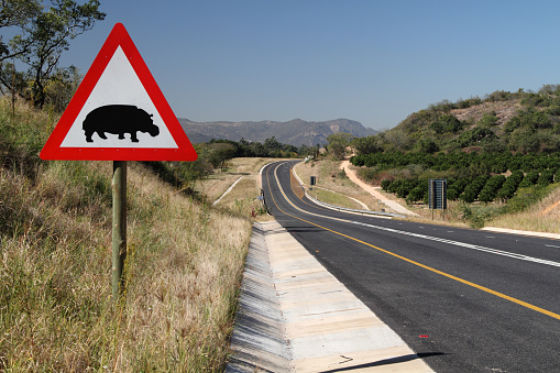 sign warning of hippos at a country road in South Africa