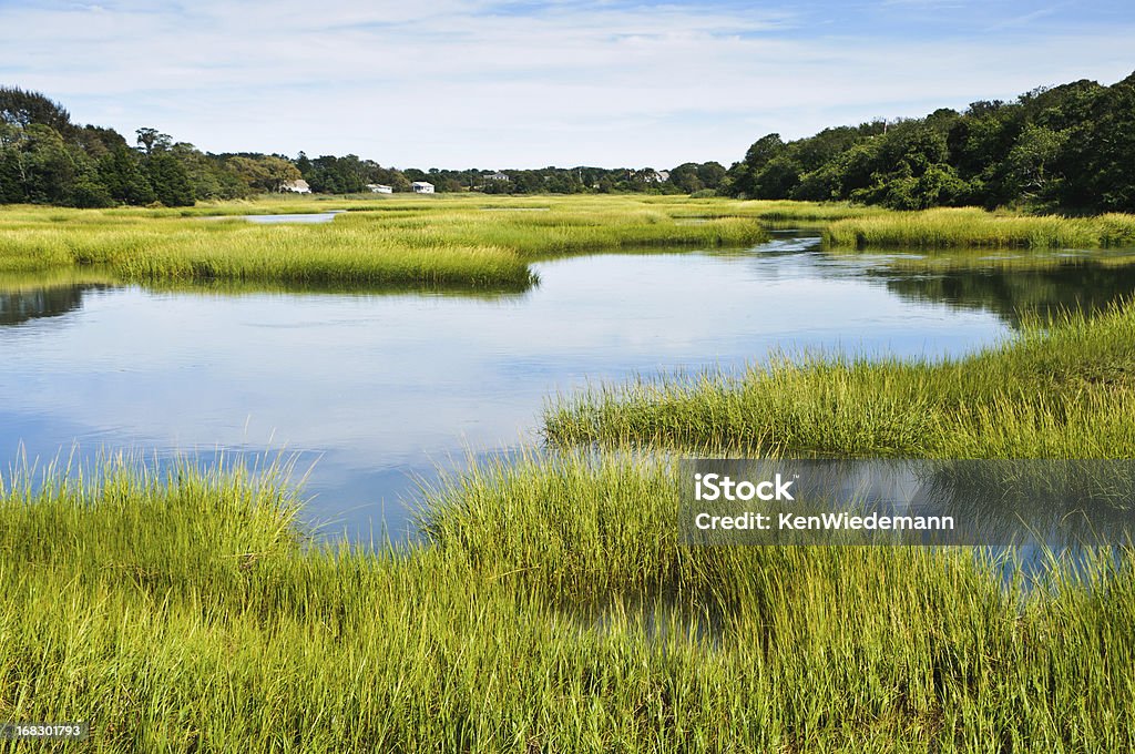 Salt Marsh a pieno marea - Foto stock royalty-free di Pantano