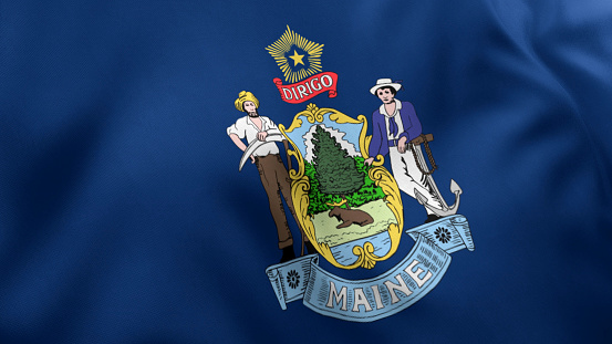 Maine State Flag, Low Angle Close up, USA