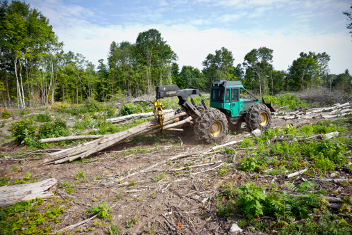 Logging equipment working