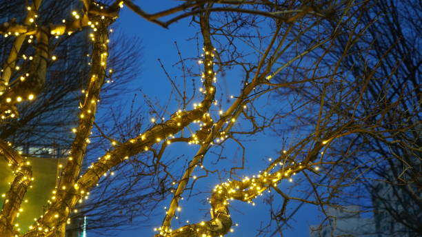 istock Branches decorated with lamps glowing at night 1683050398