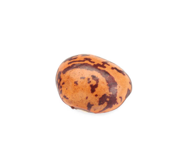 istock One raw kidney bean isolated on white 1683067984