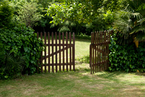 Wooden Fence in Garden. 