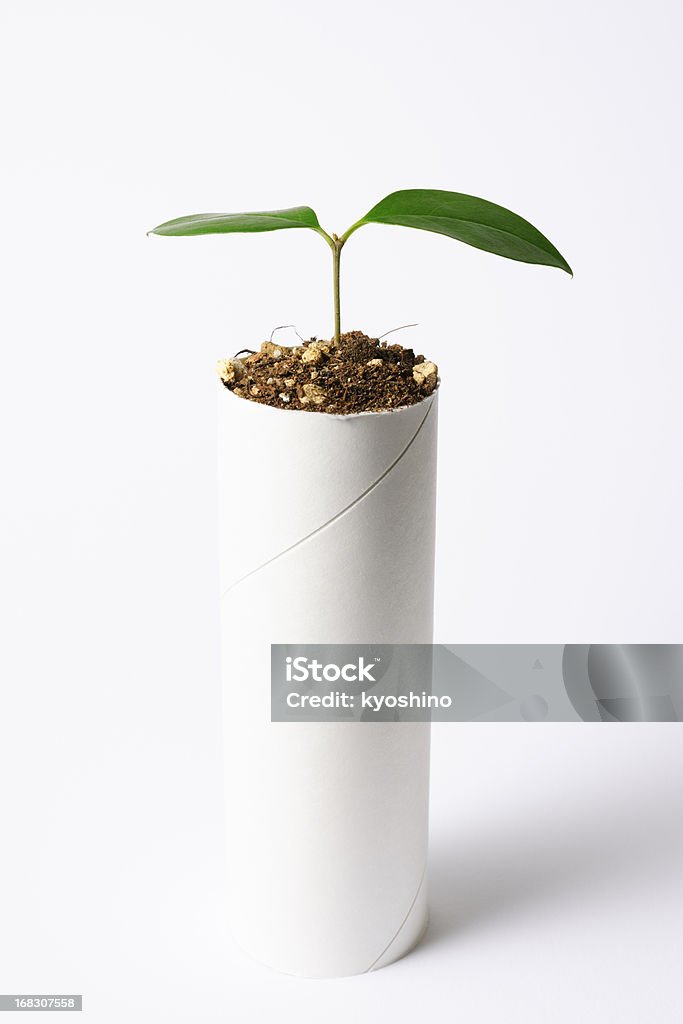 植物およびリサイクル - 紙のロイヤリティフリーストックフォト