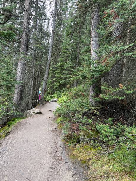 istock Hiking views in Banff National Park 1683079715