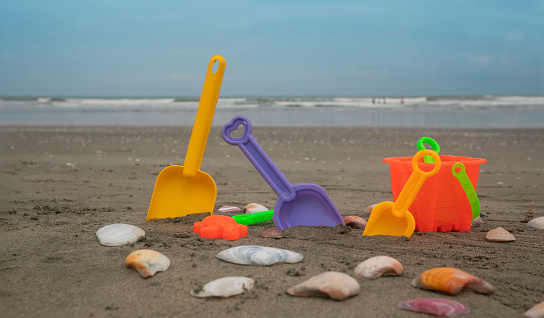 Beach toys, yellow and purple shovels and red bucket on the sand surrounded by shells with the sea and blue sky in the background