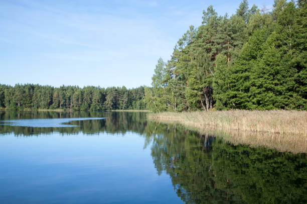 istock Baltis Lake Morning Calm Waters 1683115992