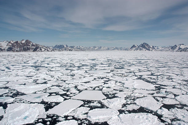Sea Ice Sea ice breaking up in spring. Near Kulusuk, Greenland. icecap photos stock pictures, royalty-free photos & images