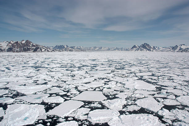 morze ice - arctic sea zdjęcia i obrazy z banku zdjęć