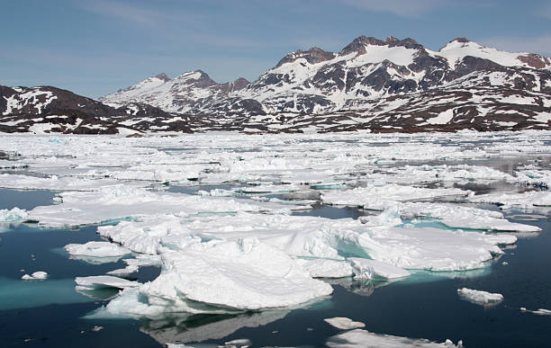 istock Ice in the Fjord 168312629