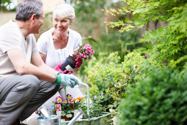 istock Senior couple gardening together 168312689
