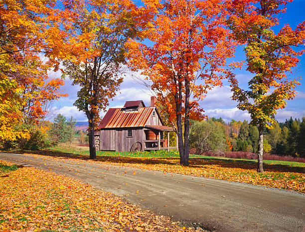 istock Autumn in Vermont  (P) 168312923