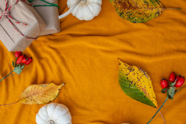 istock Autumn nature background. Orange leaves fall on white, copy space for text. 1683147875